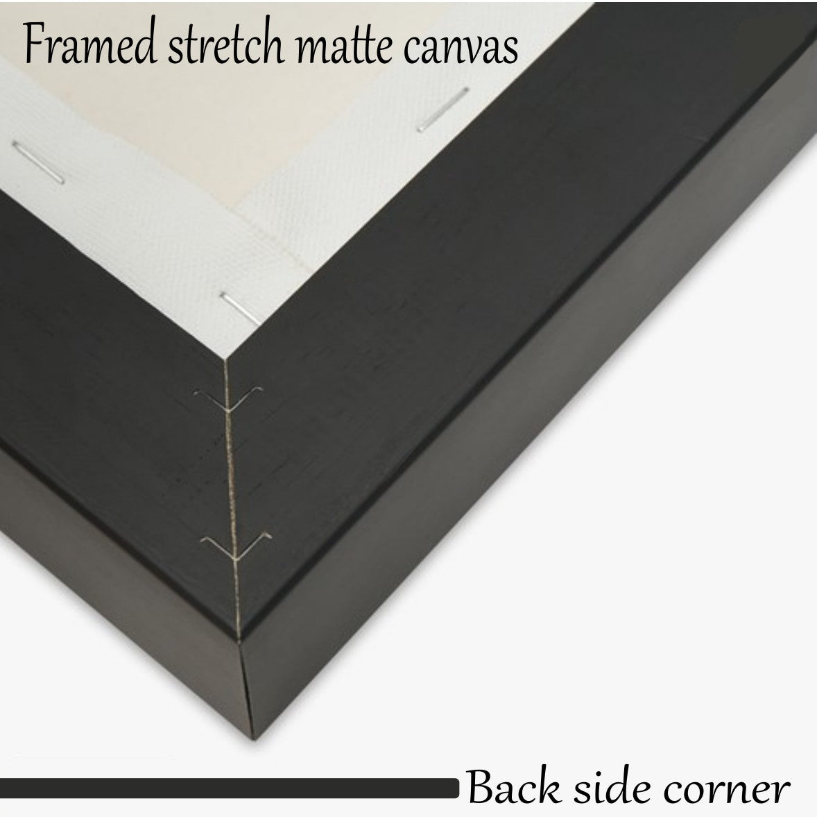 STYLE 1 - FRAMED MATTE STRETCHE CANVAS (PRODUCT SAMPLE)